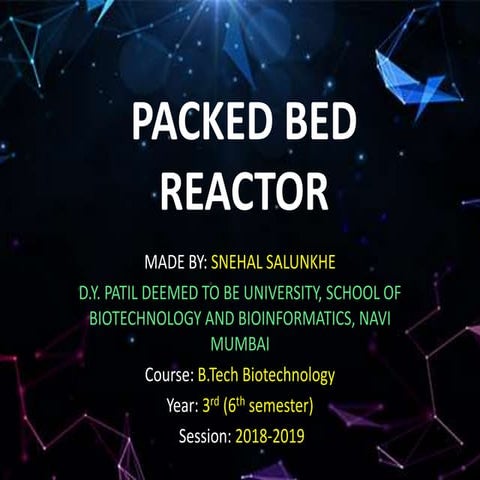 Packed bed reactor