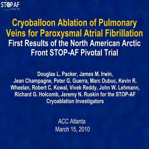 Packer Stop Af1 | PPT