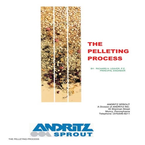 Paco's doc the pelleting-process-v2008
