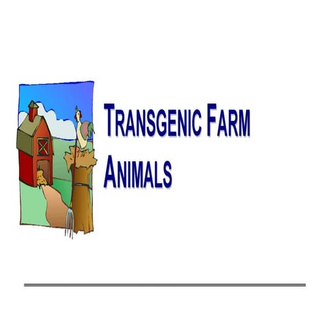 Transgenic notes (3)