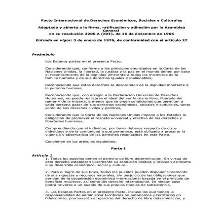 Pacto internacional de derechos economicos