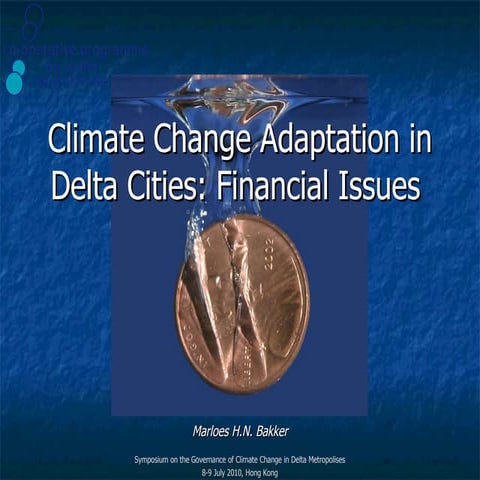 Climate Change Adaptation in Delta Cities: Financial Issues