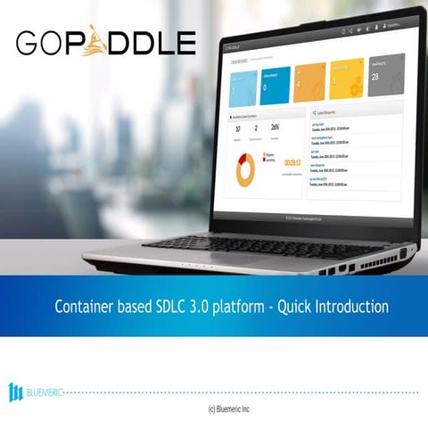 goPaddle Quick Introduction