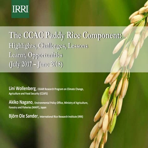 Mitigation & finance ambition in new & updated NDCs: Rice sub-sector | PPTX