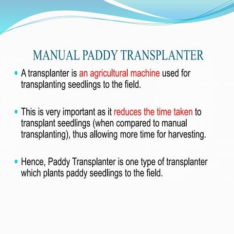 Paddy transplanter