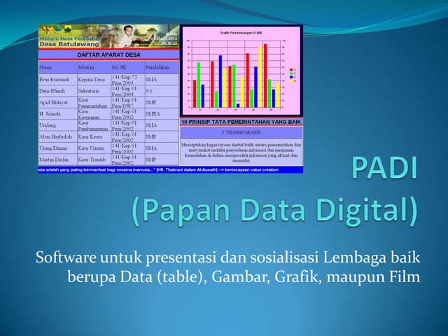 Padi