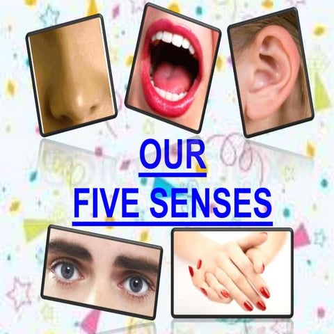 Padilla, hannah grace