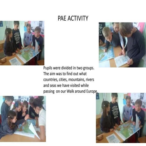 Pae Acitivity | PPTX