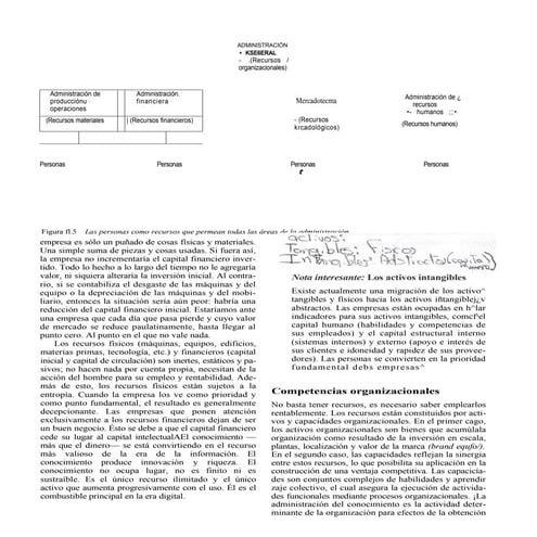 Tipos de recursos en una organización | PDF