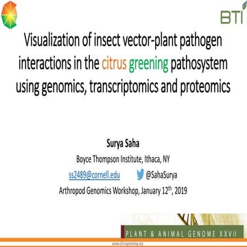 Visualization of insect vector-plant pathogen interactions in the citrus greening pathosystem using genomics, transcriptomics and proteomics