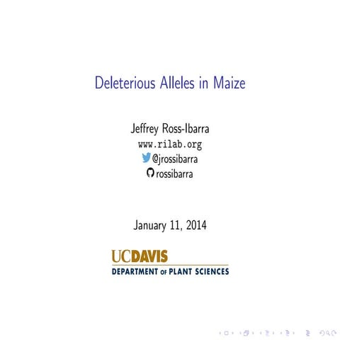Deleterious Alleles in maize, talk from PAGXXII