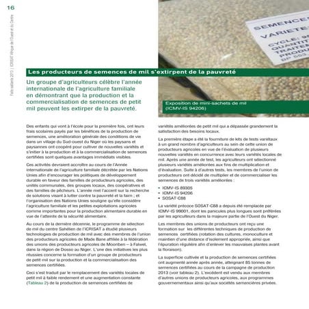 Pearl millet seed producers grow themselves out of poverty (French)