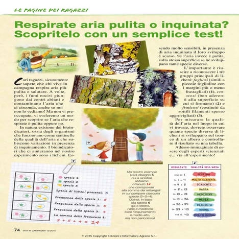 Respirate aria pulita o inquinata? Scopritelo con un semplice test!
