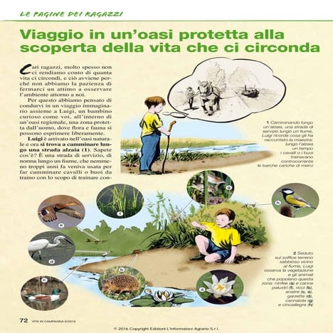 Viaggio in un’oasi protetta alla scoperta della vita che ci circonda