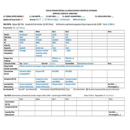 PAIFAM Y REGISTRO DE ACTIVIDADES 