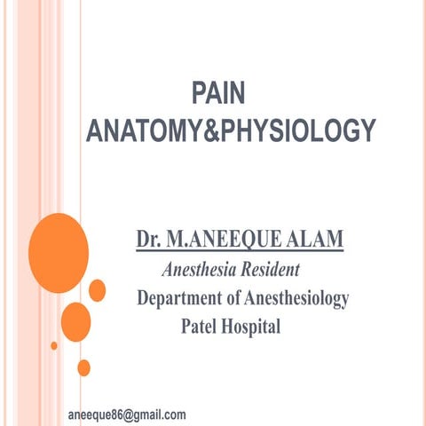 Pain anatomy and physiology