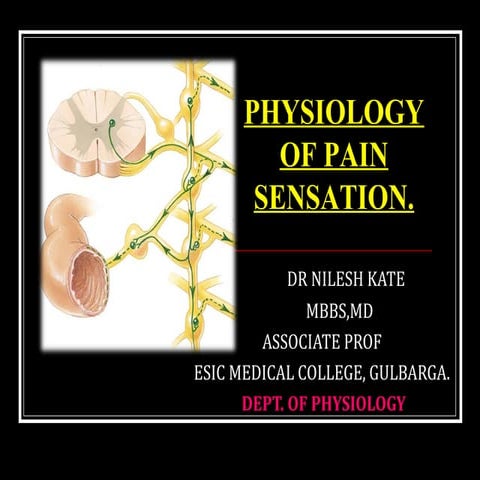 PHYSIOLOGY OF PAIN SENSATION 