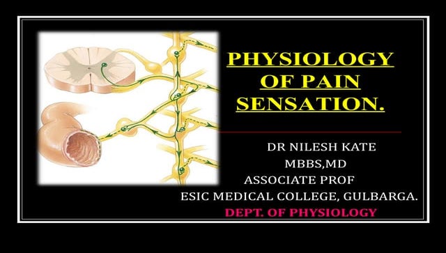 Pain pathway Biology Diagrams