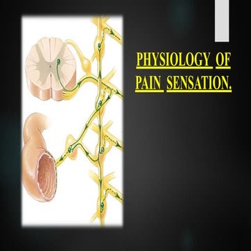 PHYSIOLOGY OF PAIN PHYSIOLOGY OF PAIN.pptx