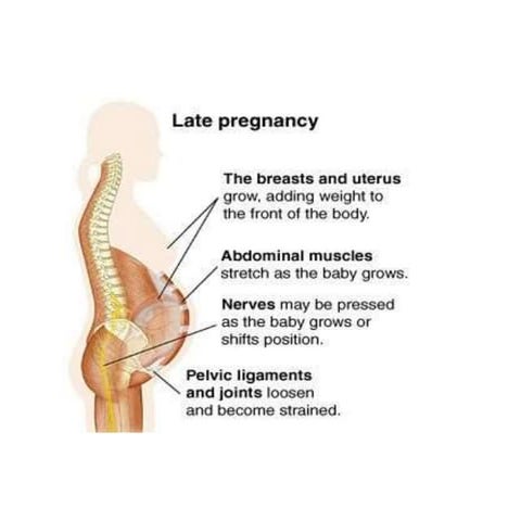 Pain during-pregnancy