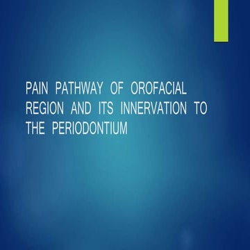 pain pathway.pptx