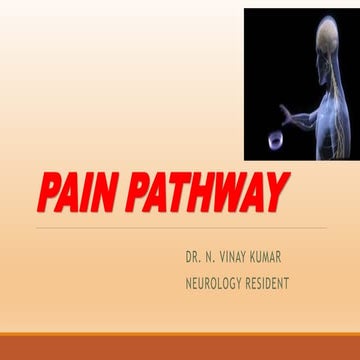 PAIN PATHWAY.pptx