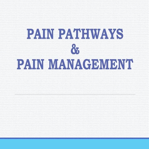 Pain pathways