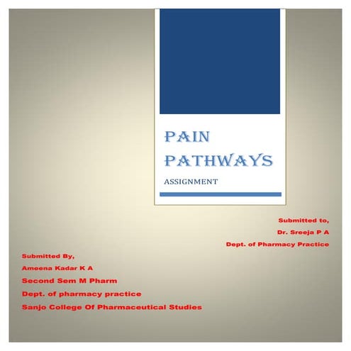 Pain pathways.pdf