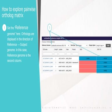 Pairwise ortholog matrix of cg.ezbiocloud.net