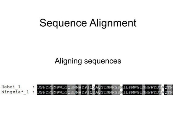 The Smith Waterman algorithm | PPT