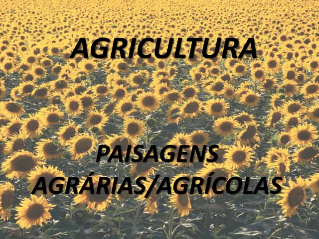 Paisagens agrarias 1
