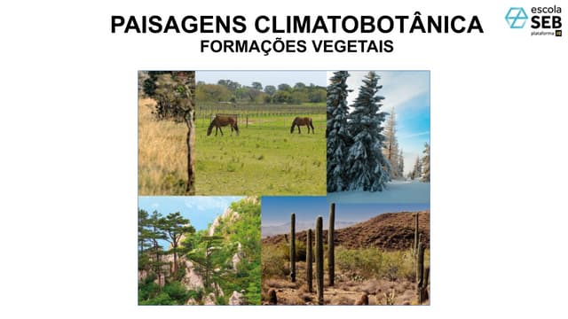 Paisagens. climatobotânicas_2025 2.pptx