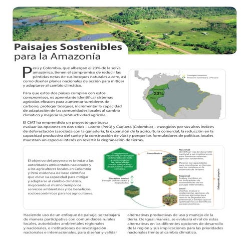 Paisajes sostenibles para la Amazonía  - brochure
