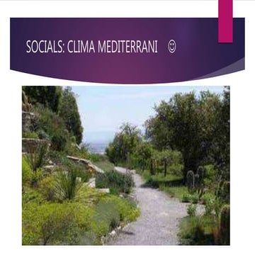 Paisatge mediterrani (1A)