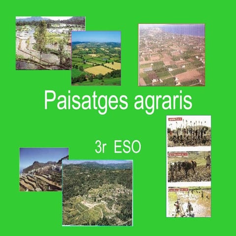 Paisatges agraris