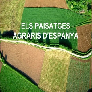 Els paisatges agraris d'Espanya