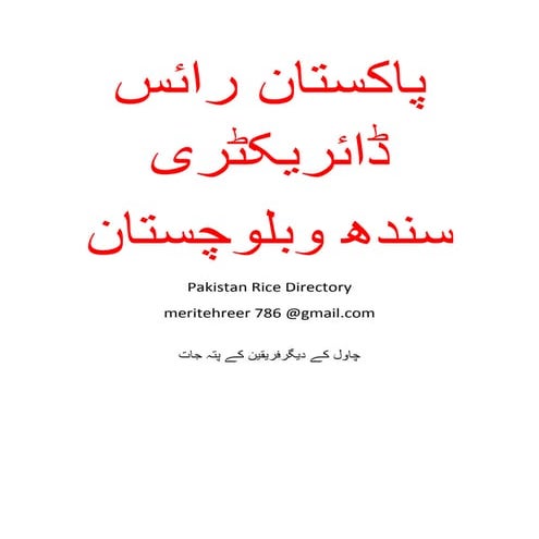 Pakistan Rice Industry_Karachi Sindh.pdf