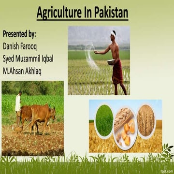 Agriculture Sector of Pakistan | PPTX