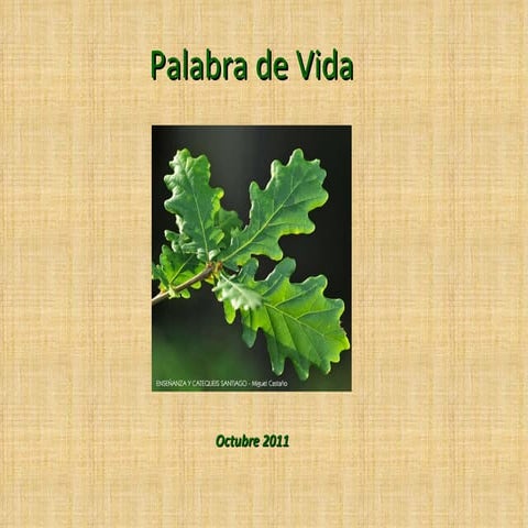 Palabra de vida_octubre_2011