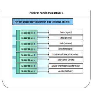 Palabras homonimas ortografía