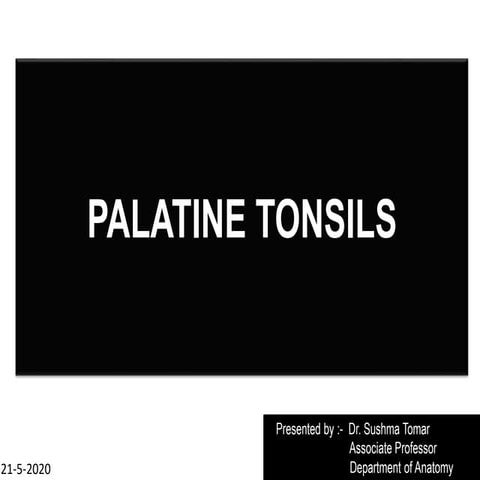PALATINE-TONSILS Anatomy and applied aspectspresentation