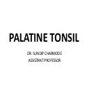 Palatine tonsil.pptx