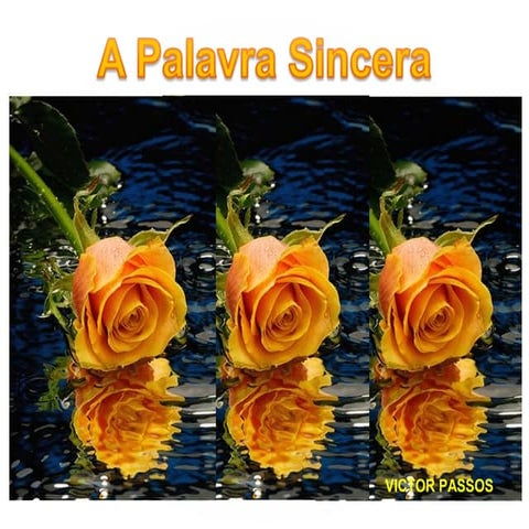 Palestra - Palavra sincera | PPS