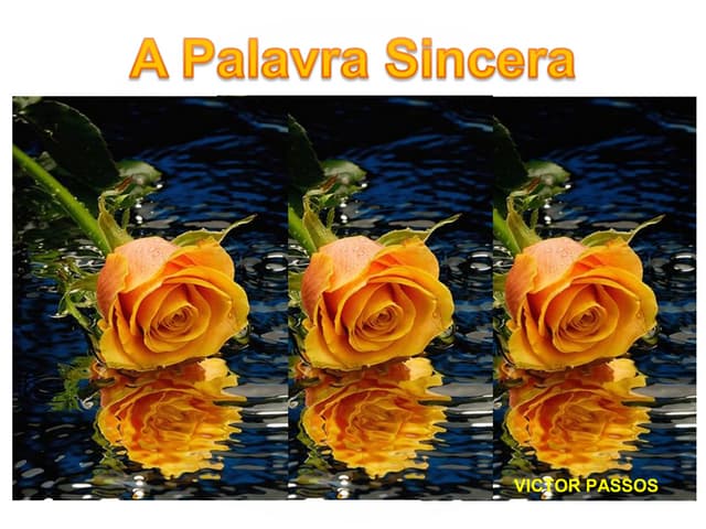 Palestra - Palavra sincera | PPS