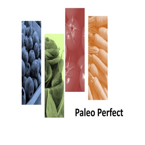 Paleo Inspired Cookbook