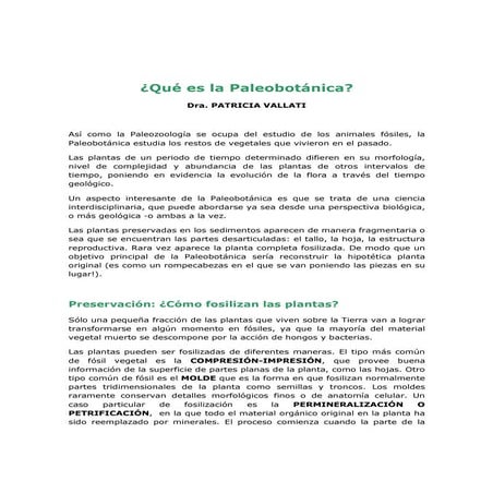 Paleobotanica