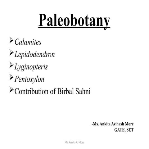 Paleobotany Calamites,Lyginopteris, Pentoxylon, Lepidodendron.pptx