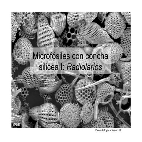 Micropaleontología 