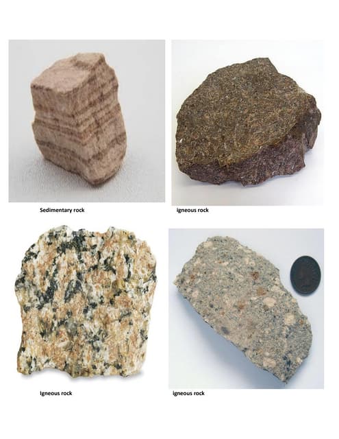 Paleontology rocks types