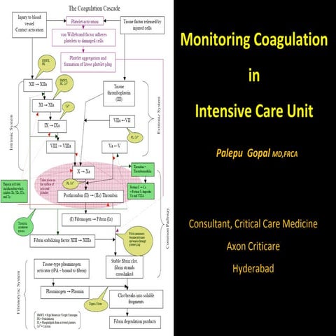 Coagulation Monitoring in Critical Care